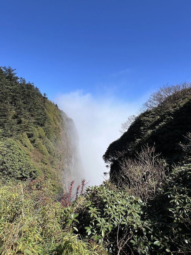 春節玩轉成都-峨眉山-樂山大佛超全攻略來襲
