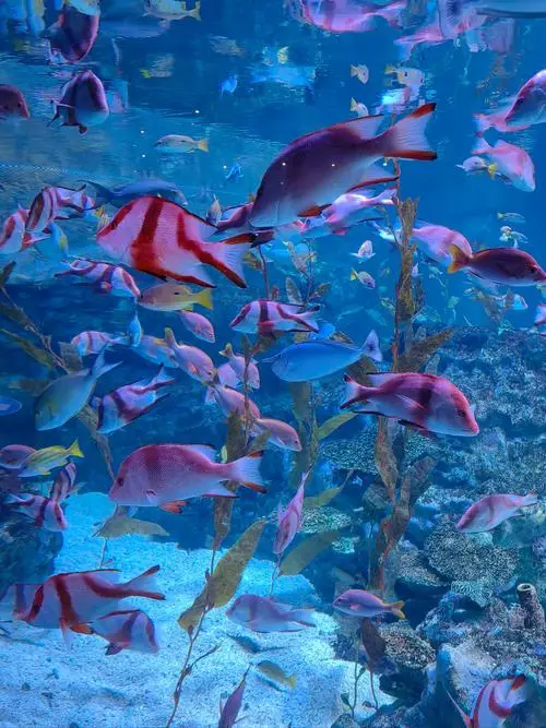 西安這些遛娃寶藏地,趕緊打卡吧