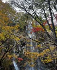 本溪｜關門山森林公園——真正的天然氧吧