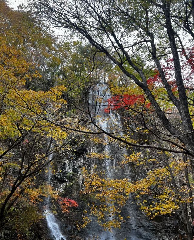 本溪｜關門山森林公園——真正的天然氧吧