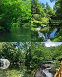 本溪｜關門山森林公園——真正的天然氧吧