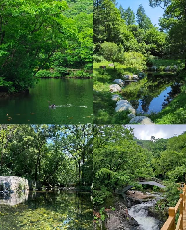 本溪｜關門山森林公園——真正的天然氧吧