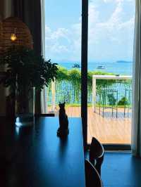 大鹏南澳·海山間的放空秘境。