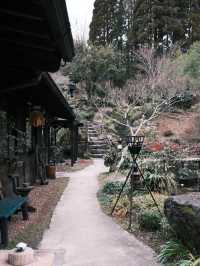 探秘九州黑川溫泉：小眾日式山野溫泉的魅力之旅