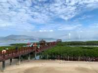 山海紅樹林