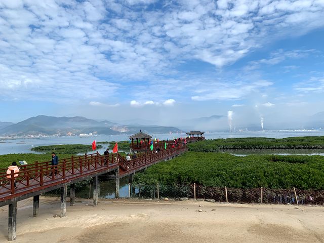 山海紅樹林