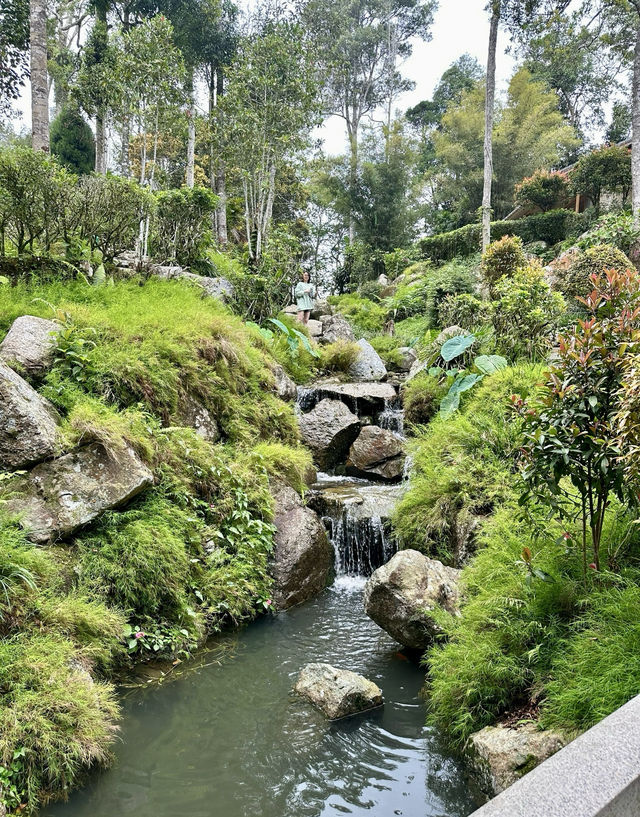 文冬竟藏着個「法國村」？這份旅遊攻略帶你一探究竟