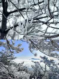 德化九仙山——閩南不可錯過的仙山秘境