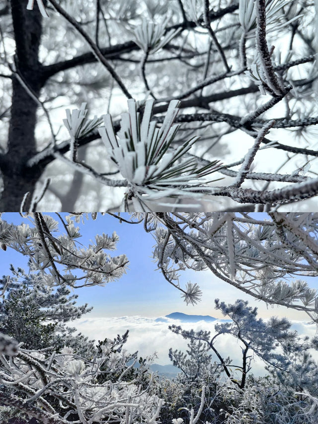 德化九仙山——閩南不可錯過的仙山秘境