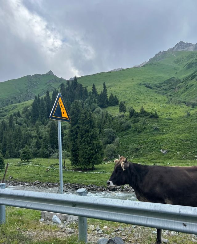 ：獨庫公路半途之旅