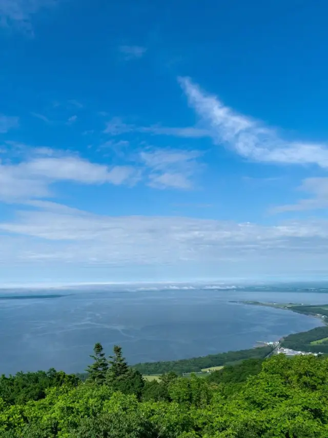 Explore Wuhan, Yellow Crane Tower, and the Three Gorges with This Winter Break Guide