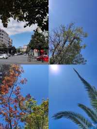 冬遊高加索三國超詳細攻略來啦