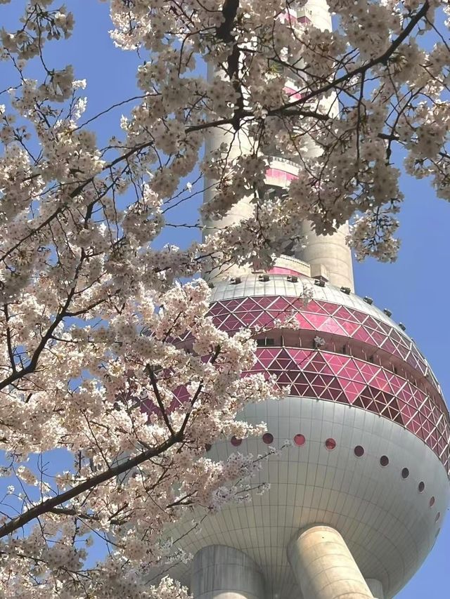 上海的春天，是萬萬次春和景明附地址！