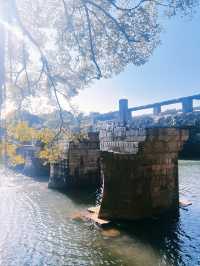 到綬溪公園看延壽橋