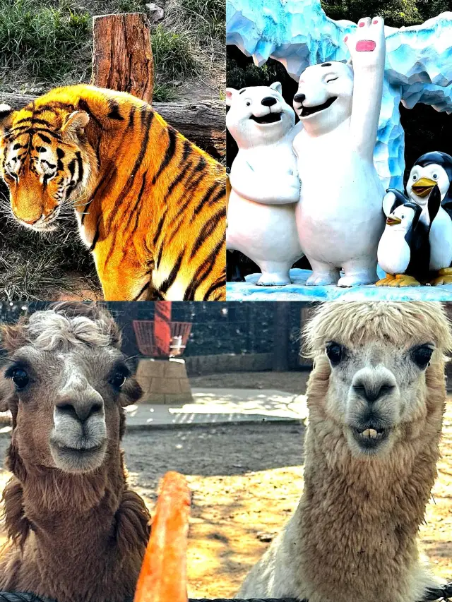 สวยกว่าดิสนีย์ ต้องรอจนถึงมืด