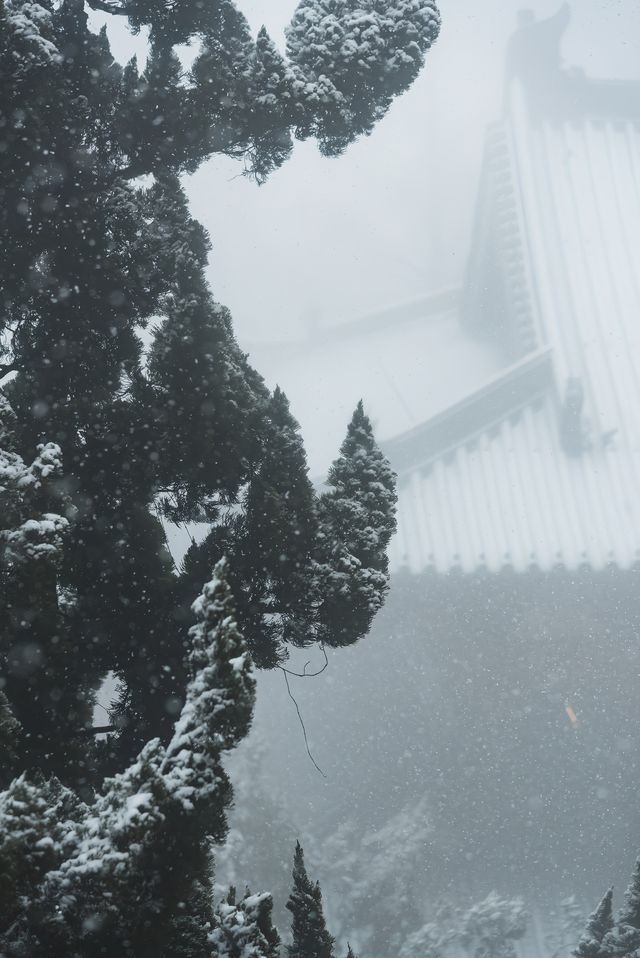 25年第一場春雪，下到了徑山寺