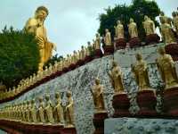 Fo Guang Shan Temple - Gaoxiong 🏯✨