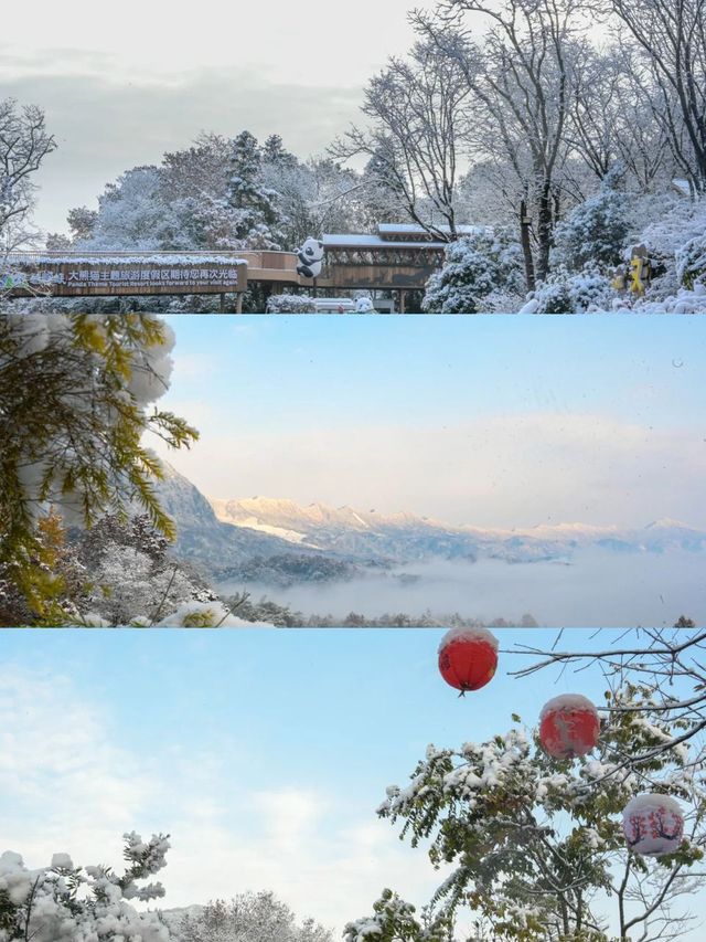 2天雅安之旅 驚艷你的朋友圈