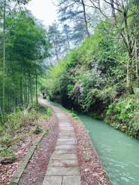 人少景美｜雨季一定要來走一趟馬嶺古道