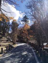 寒假探索新都橋－稻城亞丁 古鎮風情等你體驗