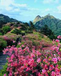 龜峰山的四月不要錯過呀