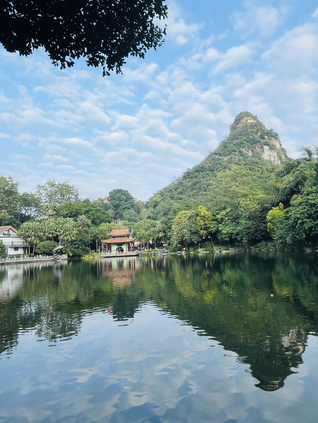 魚峰山公園！（728）