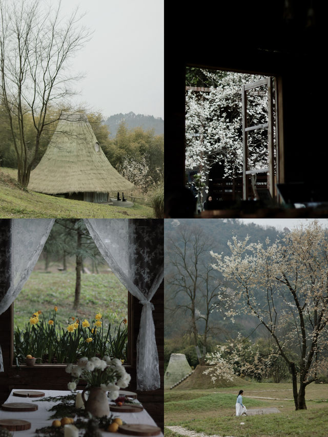 抹茶火山迎春櫻｜成都山谷治癒了內耗