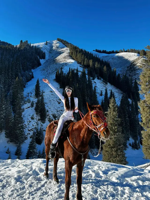 烏魯木齊沙溝｜平價騎馬看雪山附攻略
