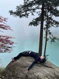 春天就要上春山，小小杏梅尖拿下！