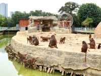 東莞親子遊｜寮步香市動物園遊玩攻略