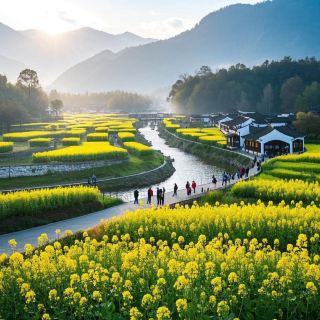 I found the same rapeseed flower field as in *National Geographic*.