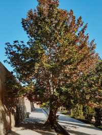 伊朗9日深度遊 玩轉經典不留遺憾