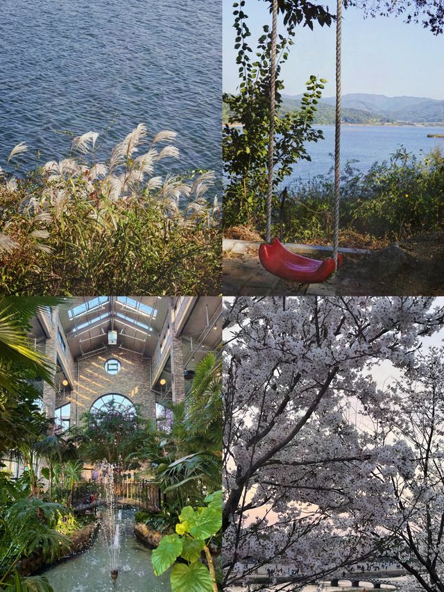 韓國清州旅遊攻略！