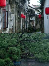 哼，你錯了，你以為杭州只有城市嗎？
