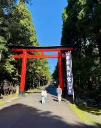 別再只知道京都神社！霧島神宮，藏在鹿兒島的國寶級秘境