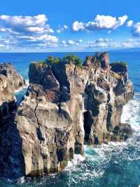 東京出發1日體驗！伊豆山海治愈之旅