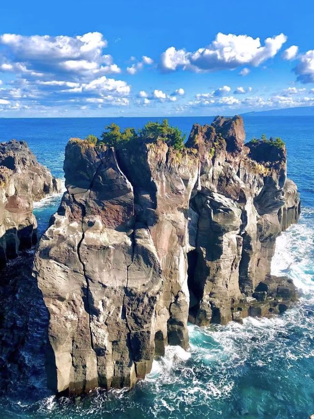 東京出發1日體驗！伊豆山海治愈之旅