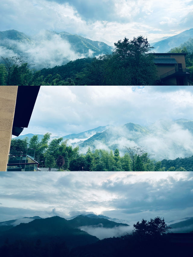 春日進山！拍出高能量元氣大片