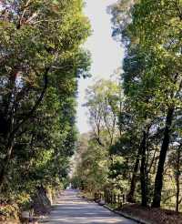 去日本松山！揭開《千與千尋》湯屋原型地的神秘面紗