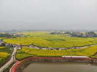 重慶墊江萬畝油菜花田
