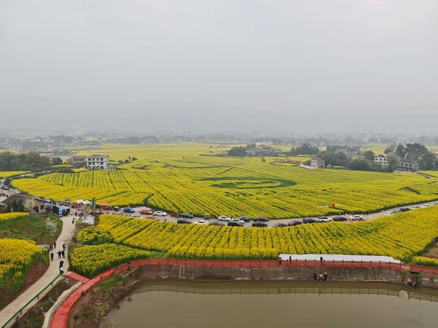 重慶墊江萬畝油菜花田