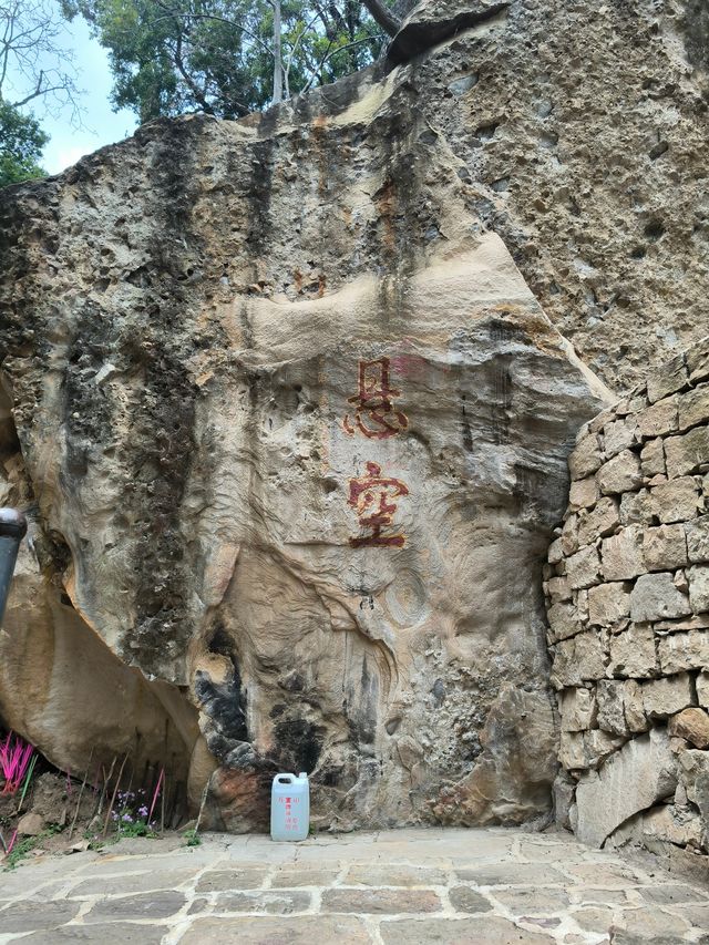 鐘靈毓秀的南天瑰寶