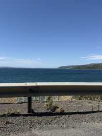 A Swim Like No Other, The Lakes In The Bay Of Plenty New Zealand
