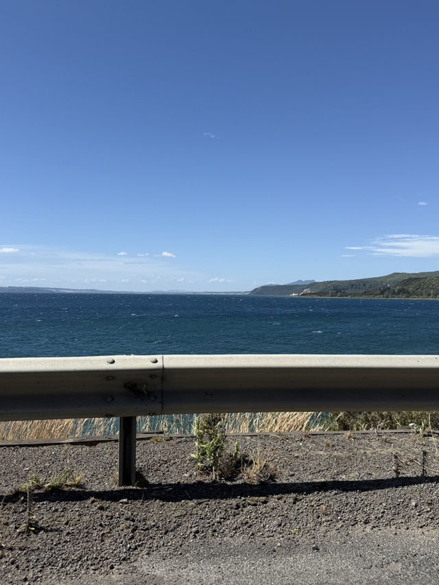 A Swim Like No Other, The Lakes In The Bay Of Plenty New Zealand
