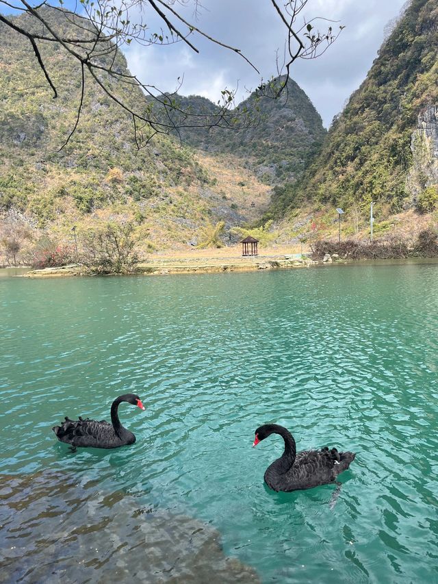 崇左-百色-河池4日深度遊 超火玩法大揭秘
