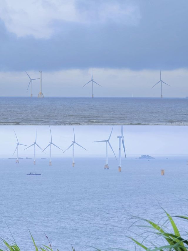 風車、藍眼淚、海島慢時光，福建「小馬代」的治癒玩法 