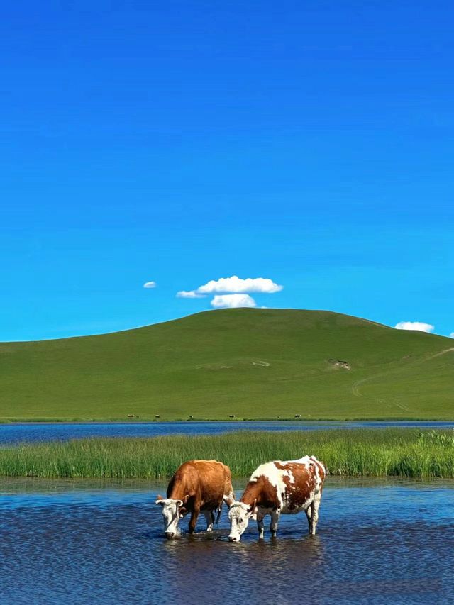 小長假要去秦皇島-承德-赤峰 美到震撼心靈
