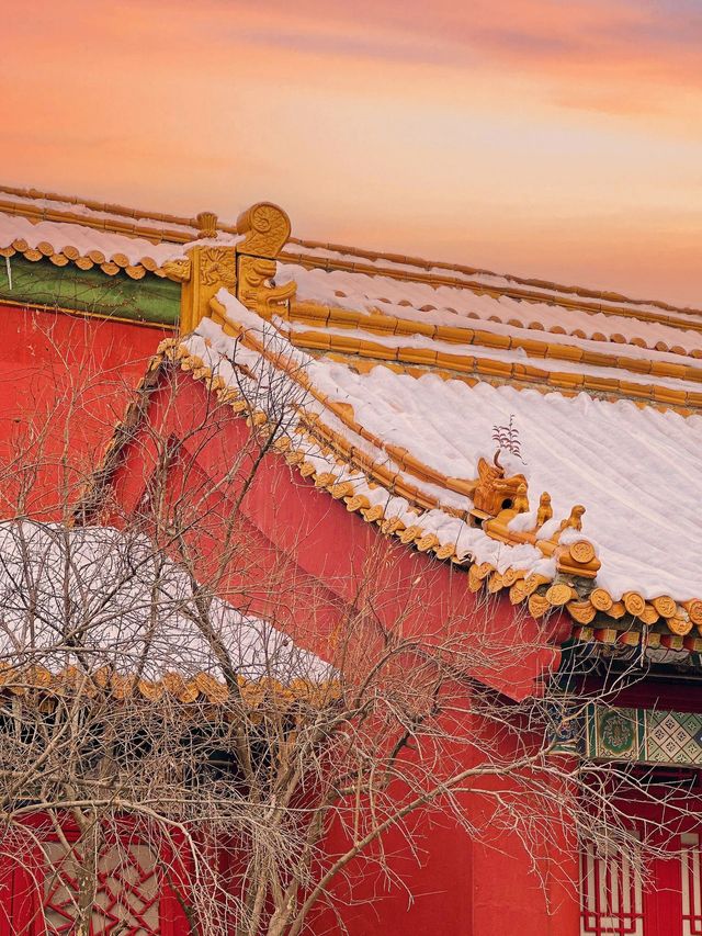清明小假期 金華2日暢遊攻略