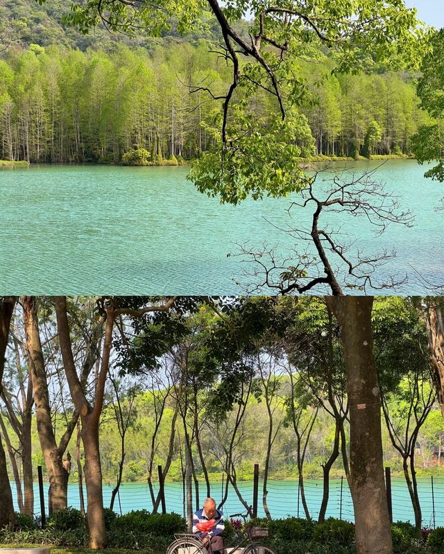 台山石花山公園，邂逅絕美春日治癒時光！