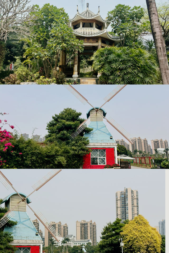 南寧市花卉公園 | 住米朵酒店，邂逅四季花海與浪漫時光